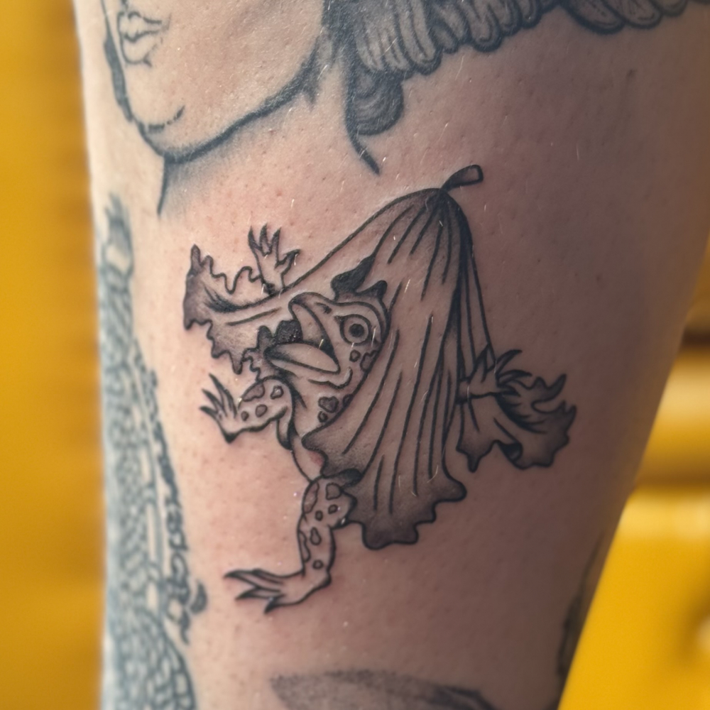 葉の下から現れるカエル