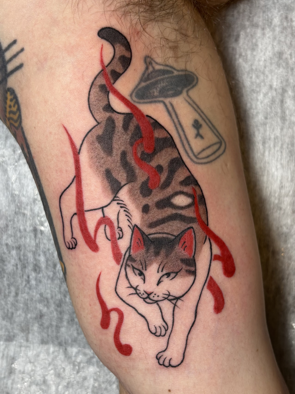 飼い猫のタトゥー